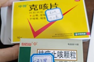 幼犬肺炎治疗药物及注意事项（探讨幼犬肺炎的常见治疗药物和饲养建议）