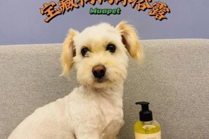 如何选择适合狗狗的泡澡药水（全面解析狗狗泡澡药水的选择与使用技巧）