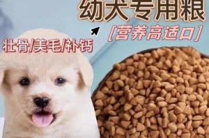 探寻小型狗的品种之谜（揭开小型狗背后的品种秘密，解锁它们的独特魅力）