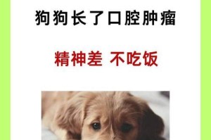 给狗狗喂食大蒜的正确方法（合理饲喂下的大蒜益处）