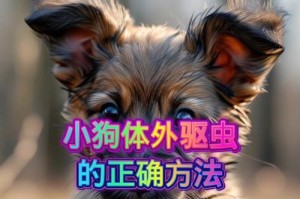 小狗到新家需要进行驱虫吗？（小狗到新家多久进行驱虫才合适？）
