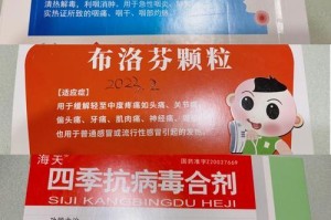小狗肠胃感冒的治疗方法（药物治疗对小狗肠胃感冒的有效性及注意事项）
