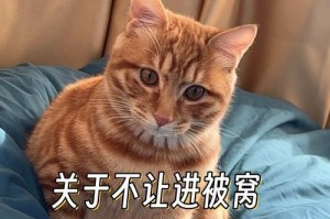 为什么猫咪总是喜欢往手上钻？（探寻猫咪喜欢往手上钻的原因与背后的心理动机）