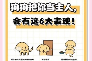 狗狗忘记主人的时间周期（揭秘狗狗对主人记忆的持续性）