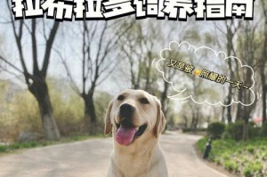 如何选择一只优秀的拉布拉多犬作为宠物？（挑选适合你的拉布拉多犬，关注品种、性格和健康！）