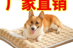 如何让你的泰迪犬睡得更好（探讨泰迪犬睡眠的习惯和需要）