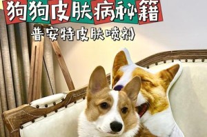 探究犬皮肤病的类症鉴别（宠物主人必看，一起了解犬皮肤病的鉴别方法）