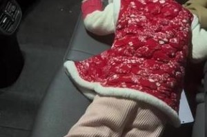 如何解决阿拉斯加偏瘦问题？（掌握科学饲养方法帮助阿拉斯加恢复健康）