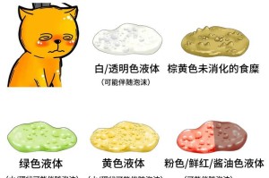 科学养比熊，合理饮食保健（为你的比熊提供全面营养）