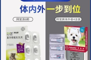 保护你的爱犬免受害虫侵害的方法（以什么方法给狗杀虫灭菌？）