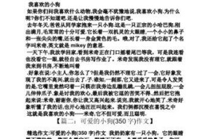 我独一无二的爱犬——为什么我的狗爱我（深情无比的眼神，无私奉献的陪伴，）