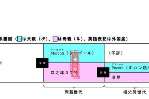 全面了解日本婆的饲养方法（宠物养殖专家分享经验，帮你打造健康快乐的小宠物生活）