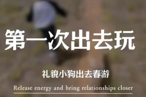 狗狗打疫苗后合适的出游时间选择（疫苗注射后狗狗外出注意事项与时间规划）