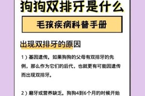 泰迪狗狗的牙齿更替（了解泰迪狗狗换牙的过程和注意事项）
