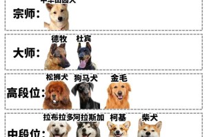 狗吃豆类美毛的秘密（豆类食物是狗毛发养护的良方）