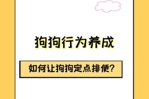 小狗的排便频率与健康（揭秘小狗排便频率的规律和关键因素）