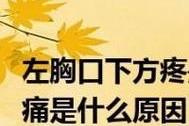狗腿痛的常见原因及治疗方法（探讨狗腿痛的症状、诊断与治疗）