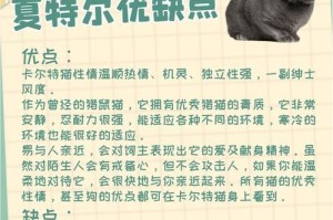 卡尔特猫饲养指南（详细介绍卡尔特猫的饲养知识，让你成为专业的猫奴）