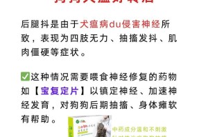 犬瘟——症状一览（了解犬瘟常见症状，保护你的爱犬健康）