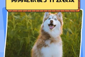 肠胃好的狗的症状及保健方法（了解肠胃健康，让狗狗更加快乐）