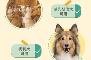 泰迪驱虫频率及注意事项（了解泰迪驱虫周期，关爱宠物健康）