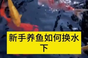 养鱼的水困多久最好？（水困对鱼类健康的影响及最佳处理方法）