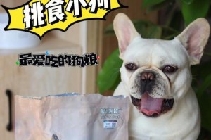 小法斗瘦喂的好处（以小法斗为伙伴，轻松瘦身不再难）