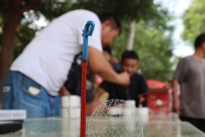 以蟋蟀放什么东西里养的最佳方法（利用土壤、食物和水来养护蟋蟀）