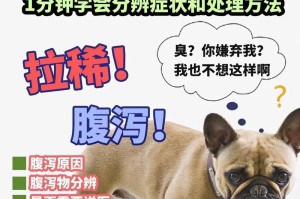 狗狗胃不好的症状及相关情况分析（了解狗狗胃病的早期症状，保护它们的健康）