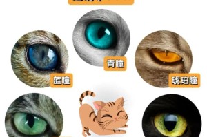 揭秘猫的小便的颜色（猫的小便颜色的意义及可能的健康问题）