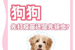 养狗必备的知识（保护爱宠健康，定期给狗狗进行驱虫吧！）