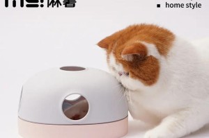 猫咪最喜欢的玩具是什么？（揭秘猫咪爱玩具的奥秘，了解猫咪玩具的选购之道）