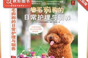 细心呵护，萌宠比熊犬健康成长（比熊犬护理要点，让你的萌宠永葆活力）