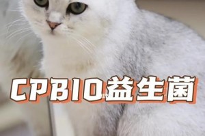 如何正确使用猫咪益生菌，发挥最大效果（关键步骤和注意事项，让猫咪受益无穷）