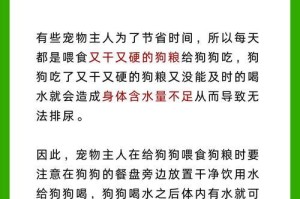 成年狗憋尿能憋多久？（揭秘狗狗憋尿的时间限制）