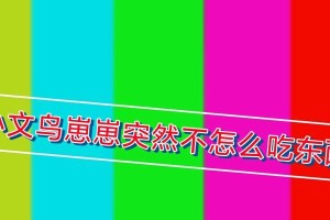 以灰文鸟喂什么？（探索灰文鸟的食物喜好与营养需求）