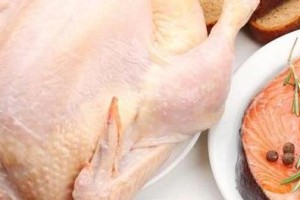 泰迪宠物所需的合适肉类饮食选择（以泰迪为主题，选择适合它们的肉类食物）