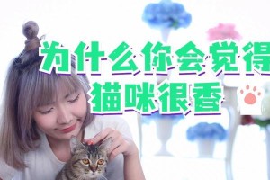 神秘的猫眼（猫咪的视觉系统和特殊适应性能力揭秘）