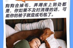 狗狗睡觉的理想地方应该注意什么？（狗狗睡眠环境的重要性及相关建议）