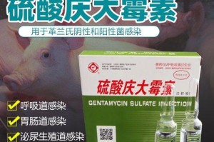 狗狗生完小狗后的免疫接种计划（保护母犬和幼犬健康的必要措施）