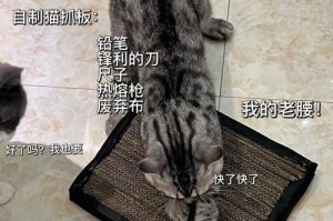 自制猫抓板，为宠物的健康考虑！（简单易操作的DIY方法，让猫咪远离刮沙发的烦恼！）