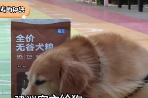 阿拉斯加长牙的注意事项（保持阿拉斯加健康的关键）