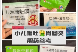 急救之以吃坏肚子呕吐吃什么药（了解适用的急救药物及注意事项）