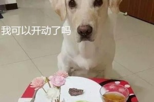 小狗的健康，暴食说不！（以暴饮暴食对狗狗的危害及预防措施）