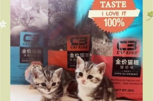 探寻美国短毛猫的独特特征（了解纯种美国短毛猫的迷人之处）