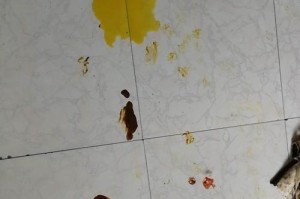 狗狗拉血的颜色与健康状况有关吗？（探讨狗狗拉血的不同颜色以及可能的健康问题）