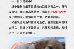 狗狗得细小后多久能恢复正常饮食？（细小疾病对狗狗饮食的影响及康复时间分析）
