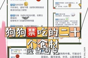 狗遭受休克多久会死亡？（揭秘狗在休克状态下的生命倒计时）