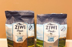 狗妇科炎症的药物治疗（药物治疗狗妇科炎症的有效方法）