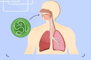 人体内常见寄生虫及其危害（揭示寄生虫入侵人体的恶劣后果与预防方法）
